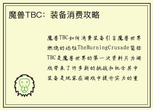 魔兽TBC：装备消费攻略